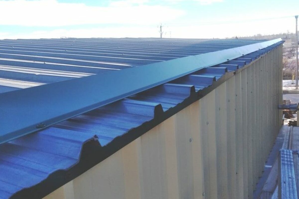 snow guards for metal roofs