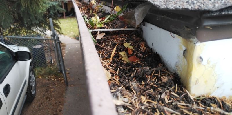 leaves blocking gutter on calgary house