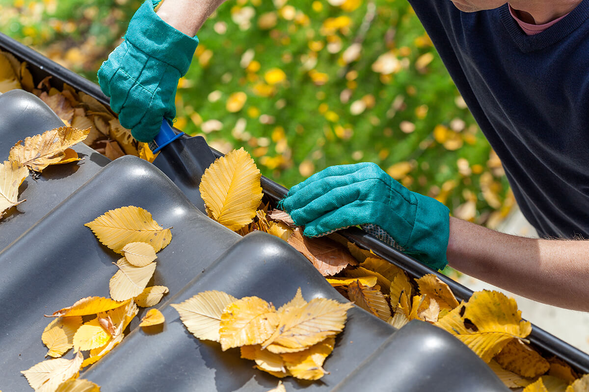 10 Top Most Common Gutter Problems that Require Immediate Attention